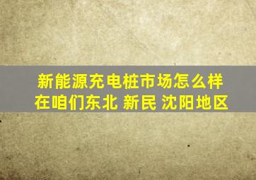 新能源充电桩市场怎么样 在咱们东北 新民 沈阳地区